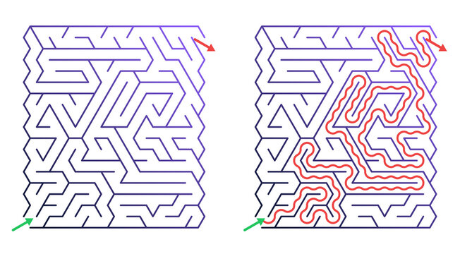 Maze with solution path showing defined pathways and directions  