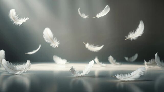 Numerous delicate white feathers gracefully float and fall down onto a reflective surface