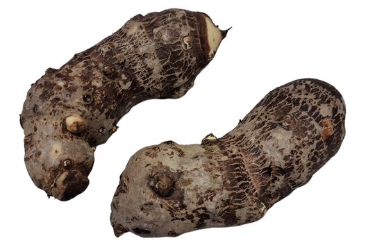 Top view of raw taro roots isolated on plain white background, close up fresh eddoe colocasia esculenta corm element for traditional culinary recipe design