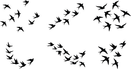Fototapeta premium Minimal Flying Swallow Bird Silhouette Collection Vector Set for Nature, Freedom, Tattoo and Design Projects