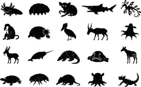 Features unusual creatures such as axolotl, goblin shark, blobfish, tardigrade, narwhal, pangolin, vampire squid, and more.