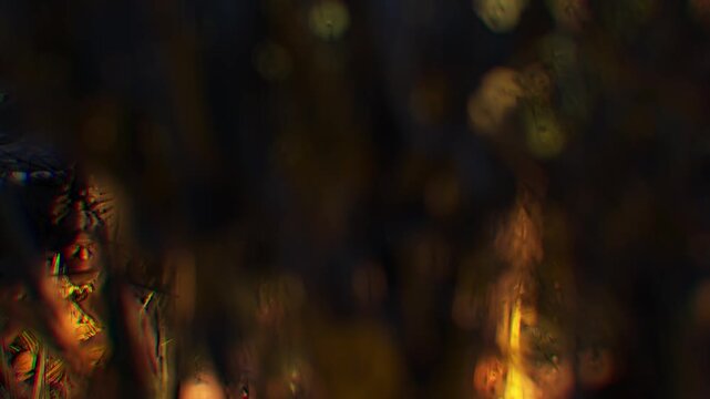 3D CGI Prehistoric Stock Video - Front View Medium Shot of Primitive Caveman Hunter in Leopard Hide Clothing Sitting by Campfire Light, Homo Sapiens Evolution Footage.