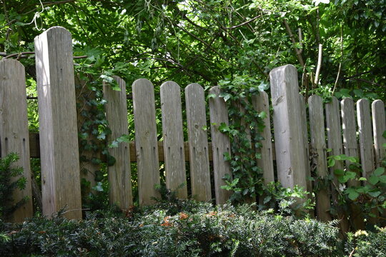 Gartenzaun