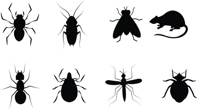 Pest control vector set collection group with insect rodent prohibition icons, bug mosquito rat cockroach symbol, no pest sign silhouette outline isolated design on transparent background.