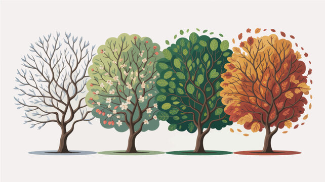 Four trees representing seasonal changes including winter spring summer and autumn foliage in a flat vector illustration style design