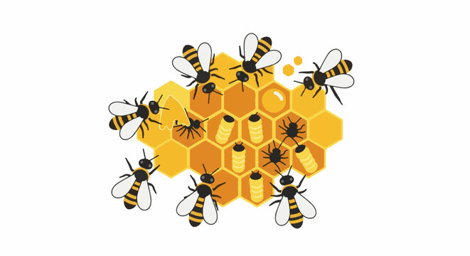 Honeycomb with bees and larvae, showing work within the hive