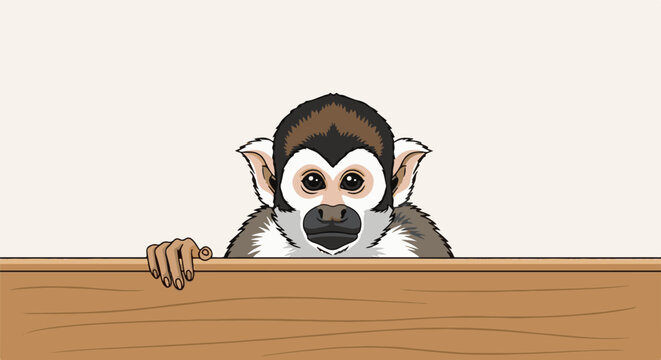 Curious monkey peeking over a wooden surface