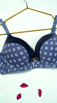 Blue push-up bra with white floral pattern on golden hanger with small brown bow lingerie underwear fashion clothing apparel lingerie underwear fashion clothing apparel