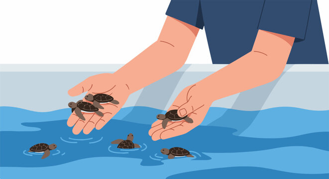 Gentle hands release hatchling turtles into calm blue water, aiding their journey