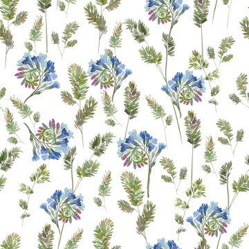 Seamless pattern with herb peritoneum flowers and grass