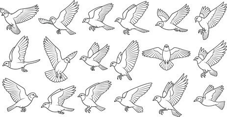 Fototapeta premium Silhouette of multiple birds in flight isolated on transparent background
