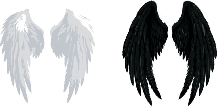 Vector graphic illustration set of white angel wings and black devil or fallen angel wings with detailed feathers isolated on white background