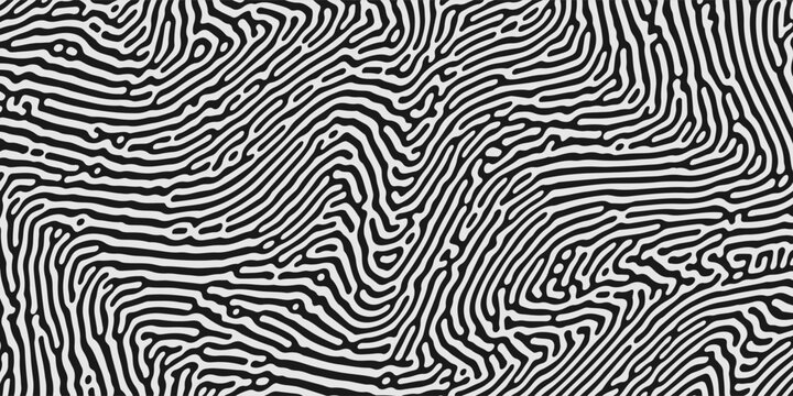 802Abstract Turing organic wallpaper with background. Turing reaction diffusion monochrome seamless pattern with chaotic motion. Natural seamless line pattern.