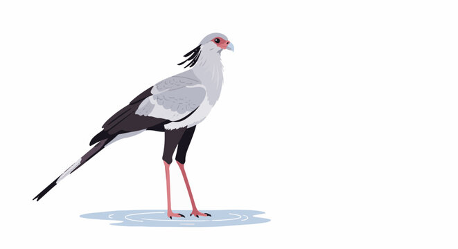 Pixel art of a graceful secretarybird with long legs standing in shallow water on a white background