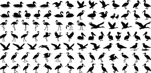 Fototapeta premium Massive Black Silhouette Collection of Diverse Water Birds Including Flamingo Heron Pelican Duck and Swan Poses