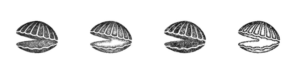 Sketch clam logo design set © David Zydd