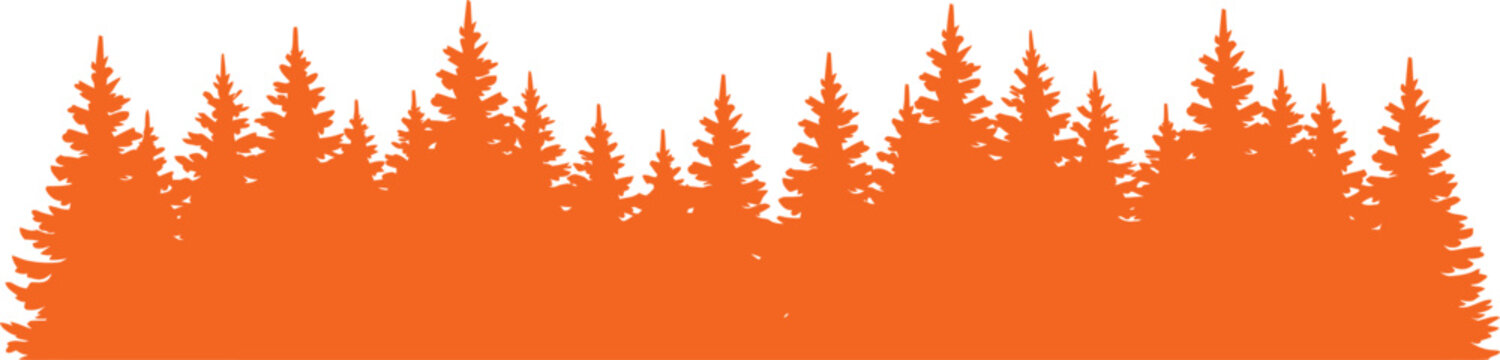 Orange pine forest silhouette landscape. Panoramic horizon border with coniferous fir trees isolated on white background.