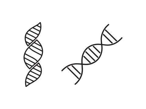 DNA double helix molecular structure icons  genetic code symbols  biology and science illustrations  DNA sequence  genetic information  molecular model