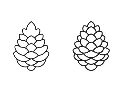 Pinecones illustration with two pine cones in black outline on white background for nature and botanical designs  simple line art style
