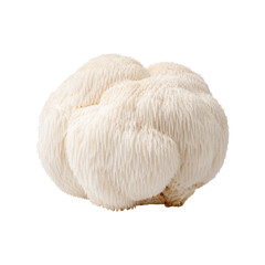 Fresh lion's mane mushroom cluster with white shaggy texture isolated on a clean white background, edible gourmet fungus for culinary, vegetarian, and natural food concepts. Yamabushitake © MJ iceberg