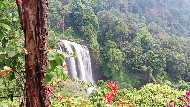 Curug Sewu Waterfall Hidden Behind Tropical Trees in Central Java Indonesia Nature Scene