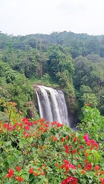 Vertical Video of Curug Sewu Waterfall and Tropical Forest in Kendal Central Java Indonesia