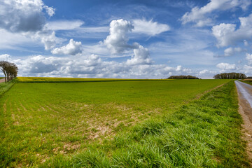 Arces-Dilo is a French town and commune located in the Burgundy region, Yonne department, in the district of Sens and canton of Cerisiers © Joan Vadell