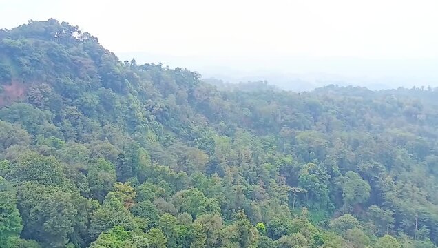 Misty Tropical Forest Landscape Near Curug Sewu Waterfall in Kendal Central Java Indonesia