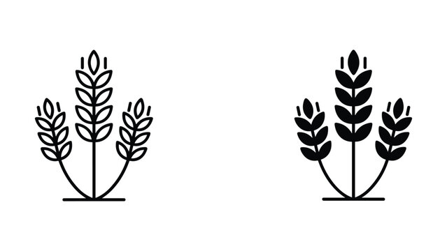 Three wheat stalks in linear and solid black vector icon graphic design