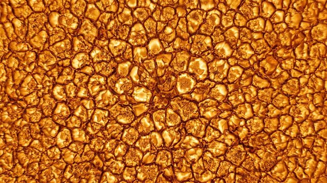 Solar Granulation Sun Surface Plasma Convection Cells