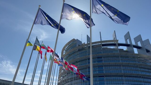 View of flags of various European countries waving in front of the Parliament building, Strasbourg, capital of Europe. 4K