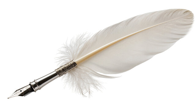 Elegant white feather quill pen with ornate silver metal nib and decorative fluffy accents, isolated on transparent background