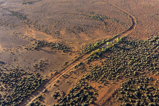 Aerial view of the vast outback landscape with red soil, sparse green shrubs, and a winding dirt track under warm sunlight Flinders Ranges, South Australia, Australia.