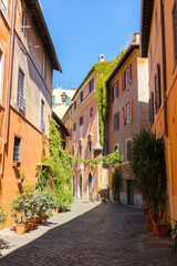 Fototapeta premium Traditional Italian city alleyway with cobblestone pavement and classic Mediterranean architecture under blue sky.