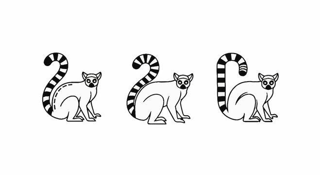 Illustration of Three Ring Tailed Lemurs Standing Together.