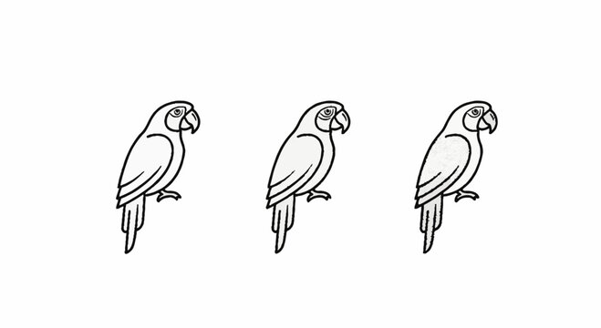 Three Illustrated Parrots Perched on Invisible Branches Line Art.