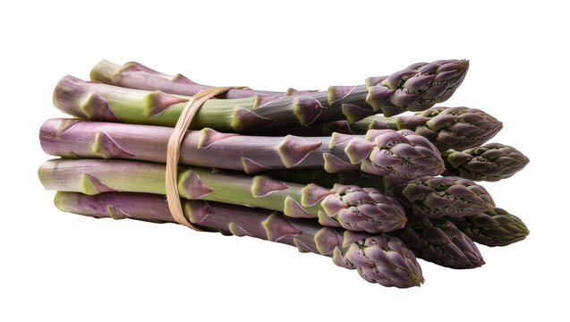 Bundle of fresh purple and green asparagus spears tied with twine, isolated on transparent background