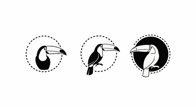 Three stylized toucan bird icons in circular frames.