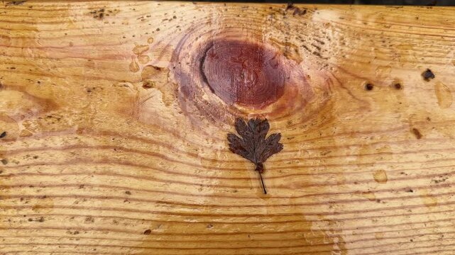 Wet wooden plank of garden bench, top view close-up