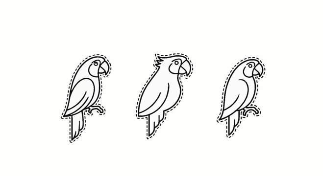 Three decorative stylized parrot line art illustrations.