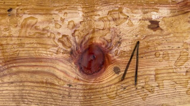 Wet wooden plank of garden bench, top view close-up