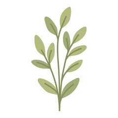 Light green leaf sprig upright branch fresh garden plant foliage asset flat vector © ImamSetia