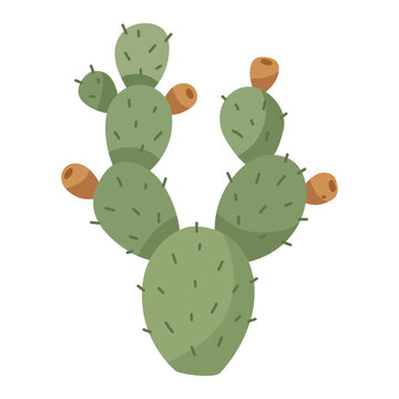 Prickly pear cactus opuntia green pads orange fruit desert plant flat vector illustration