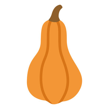 Long neck orange pumpkin tear drop shaped squash autumn decoration element flat cartoon vector