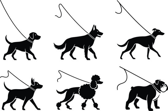 Black silhouettes of dogs on leashes