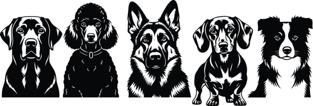 Black and white dog breeds illustrations