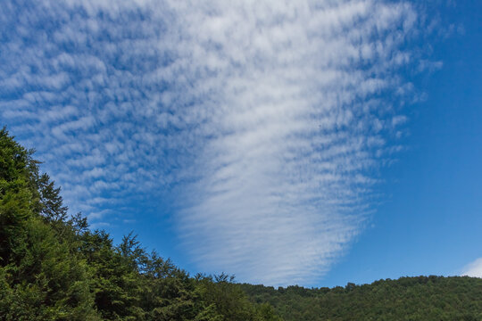 Sunny Summer View of Borzhava Valley in the Carpathians