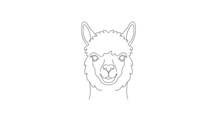 Fototapeta premium Line Art Portrait of a Cute Alpaca Face, Minimalist Animal Illustration