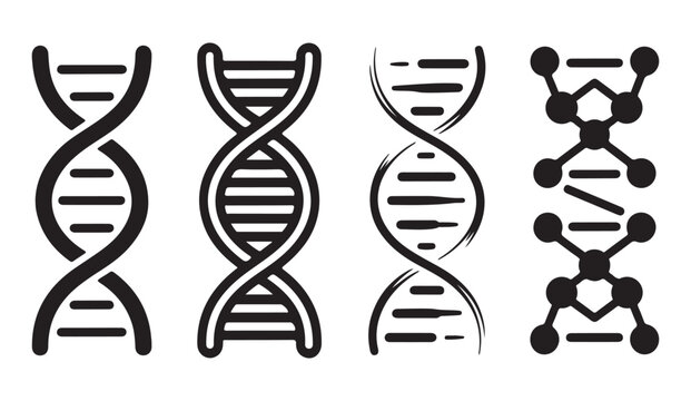 Four dna helix styles with different artistic designs