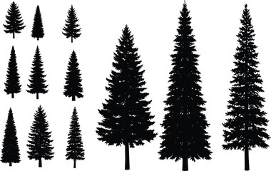 Obraz premium Evergreen Pine Tree Silhouette Collection with Forest Conifer Shapes for Nature Landscape Outdoor and Woodland Design Projects